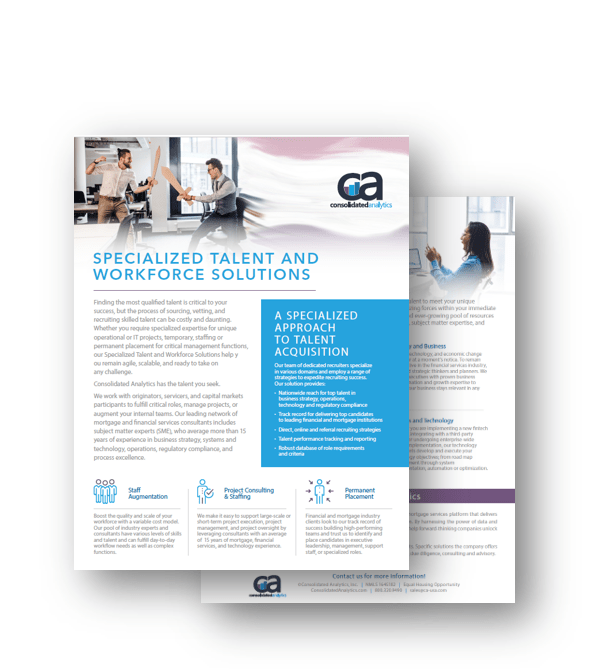 Specialized Talent and Workforce Solutions